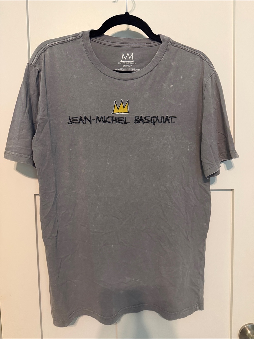 Jean-Michel Basquiat Men's Short Sleeve Dinosaur T-Rex Graphic T-Shirt - Gray